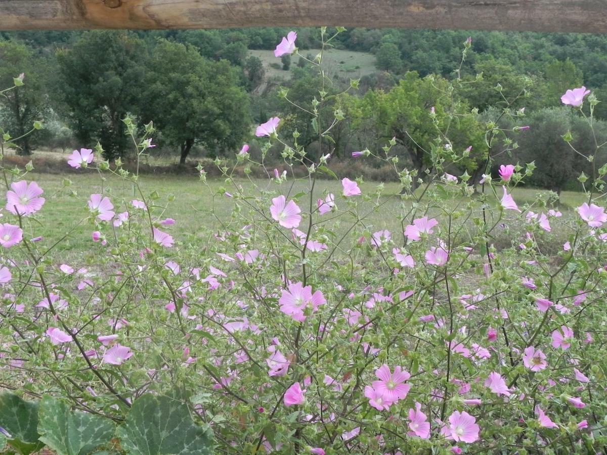 Agriturismo B&B Il Rifugio Di Nino Contursi Dış mekan fotoğraf