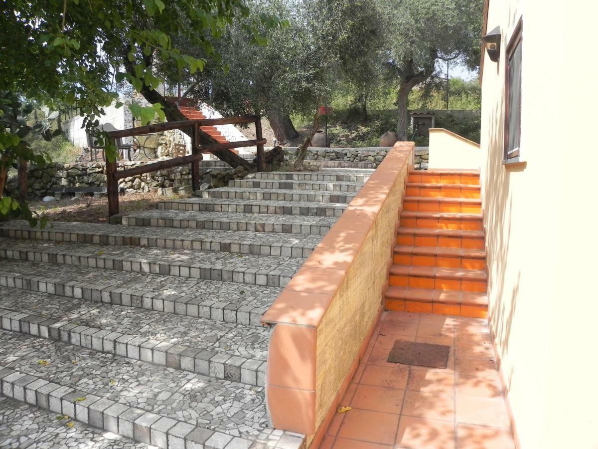 Agriturismo B&B Il Rifugio Di Nino Contursi Dış mekan fotoğraf