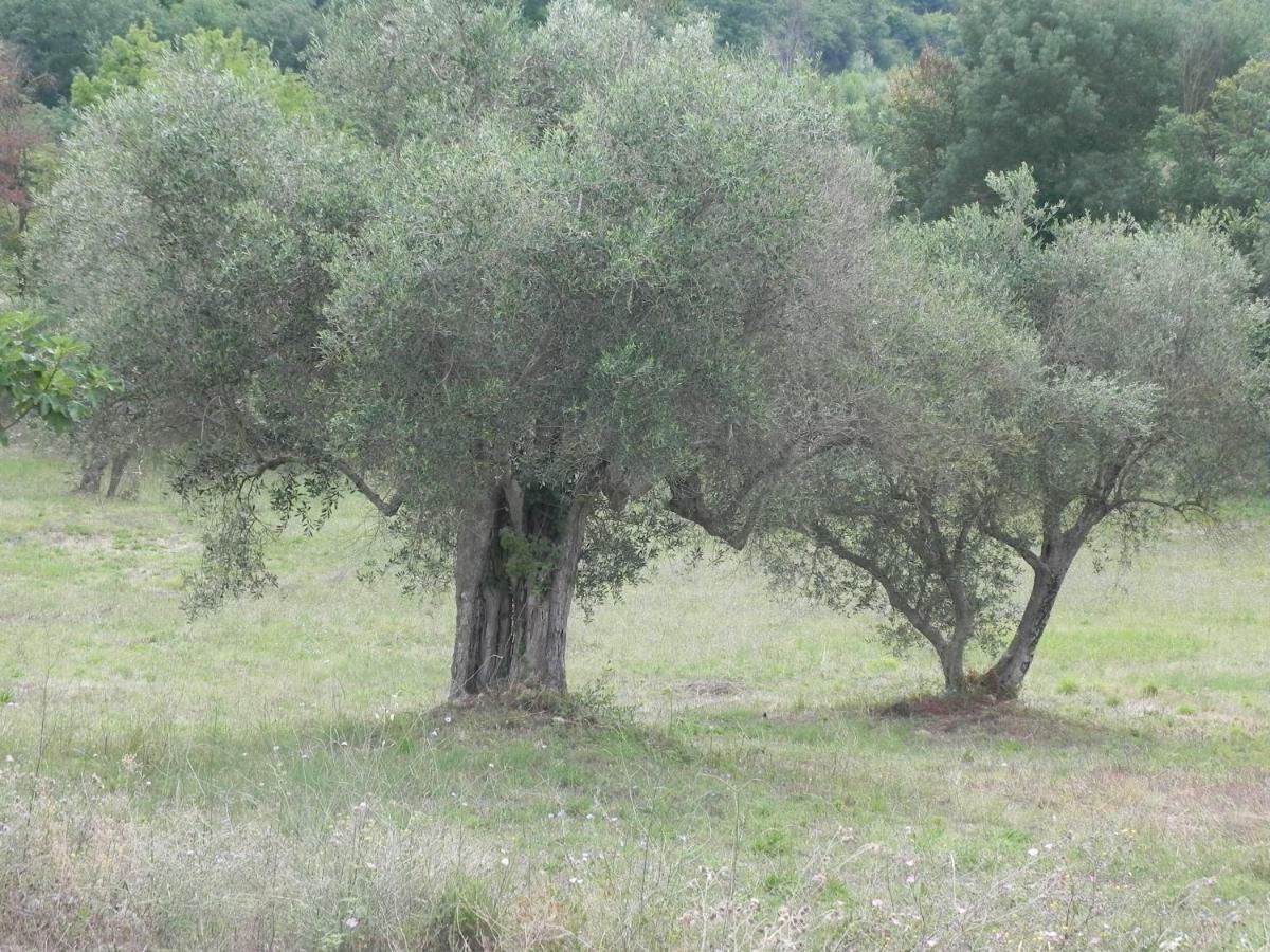 B&B Il Rifugio Di Nino Contursi Dış mekan fotoğraf