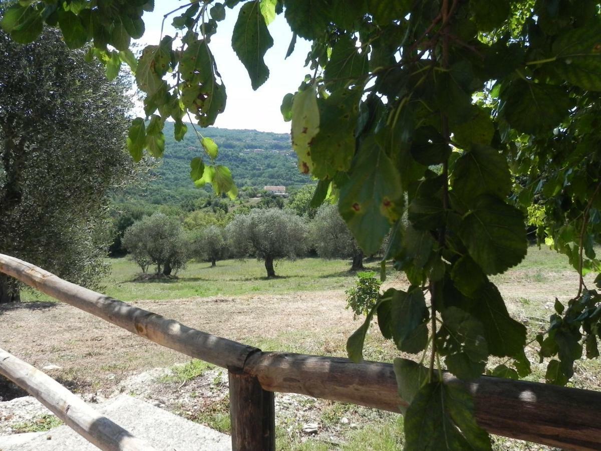 Agriturismo B&B Il Rifugio Di Nino Contursi Dış mekan fotoğraf